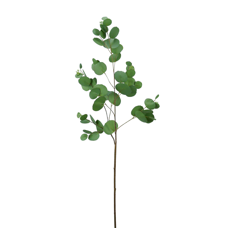 Eukalyptusblätter rund, 100 cm - grün