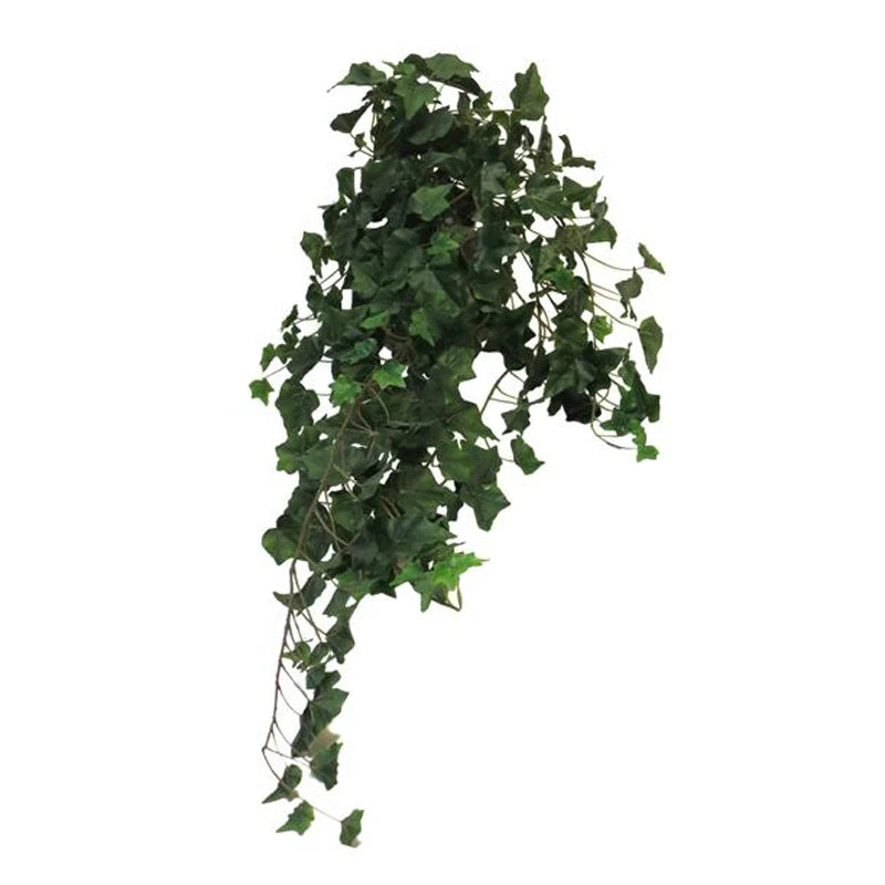 Efeu, hängend, 100 cm - grün