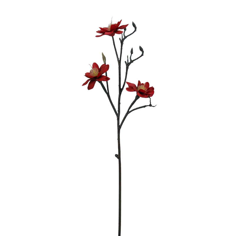 Magnolie, Ast, mehrblütig, ohne Blätter, 60 cm - rot