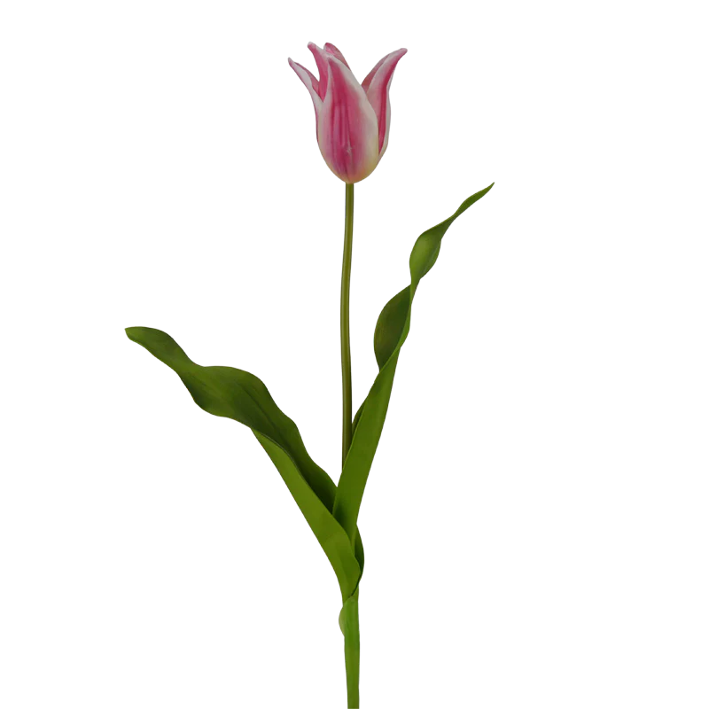 Tulpe, 58 cm - pink