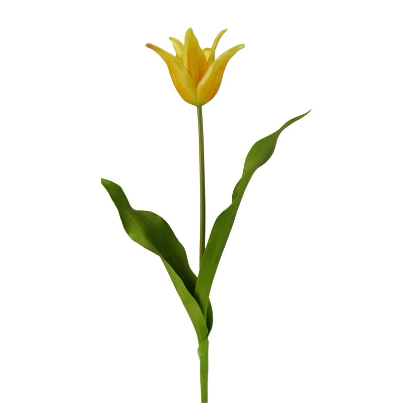 Tulpe, 58 cm - gelb