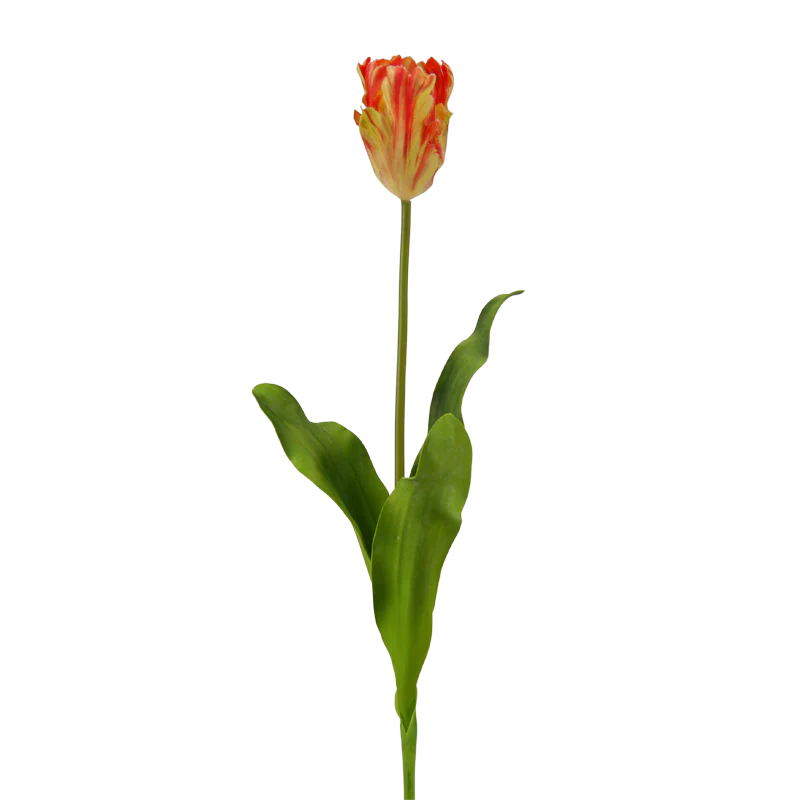 Tulpe, 62 cm - orange