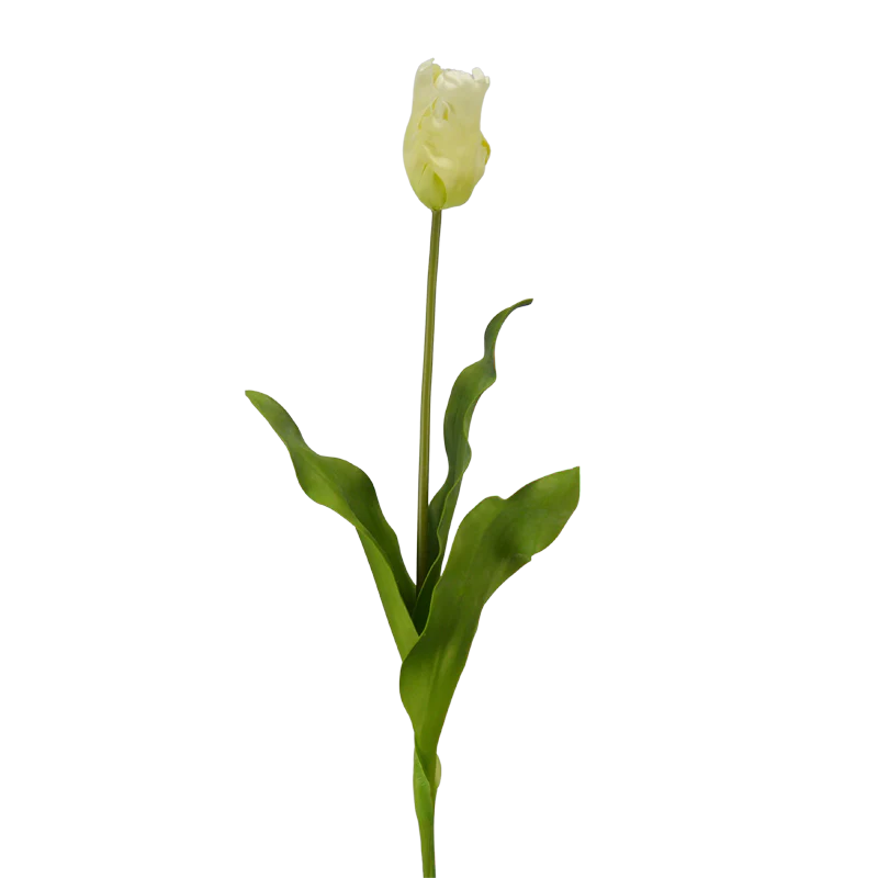 Tulpe, 62 cm - pastell/gelb