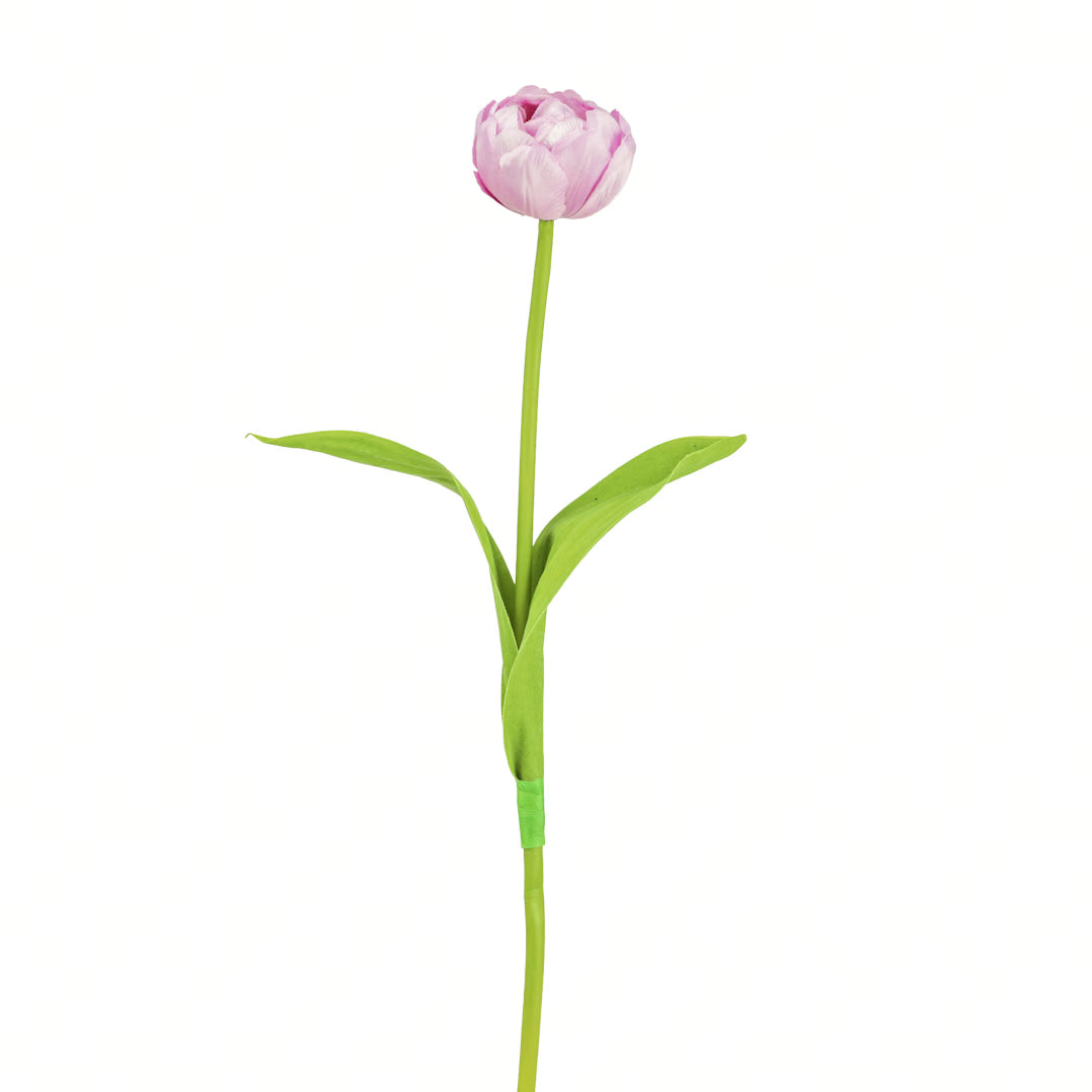 Tulpe, 43 cm - hellrosa