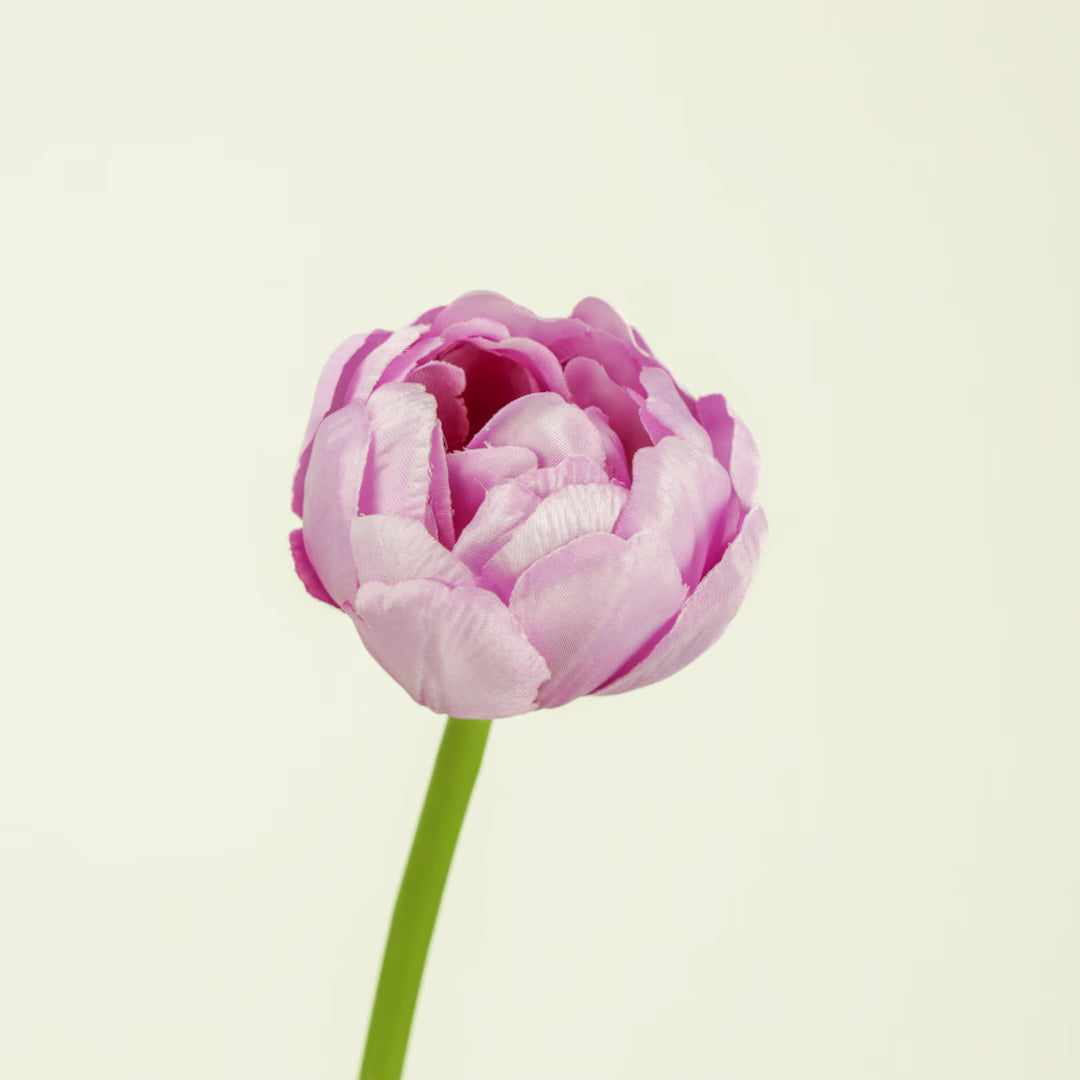 Tulpe, 43 cm - hellrosa