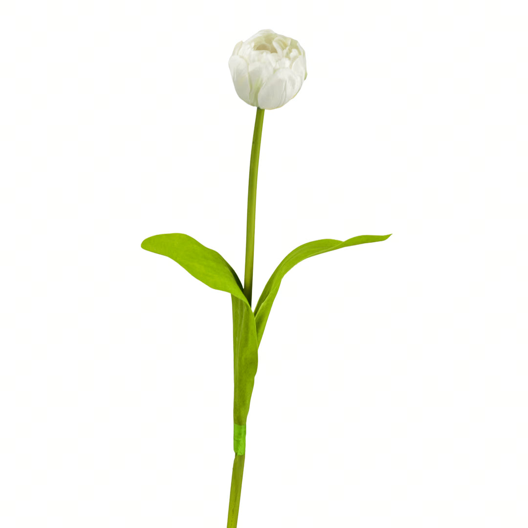 Tulpe, 43 cm - weiß