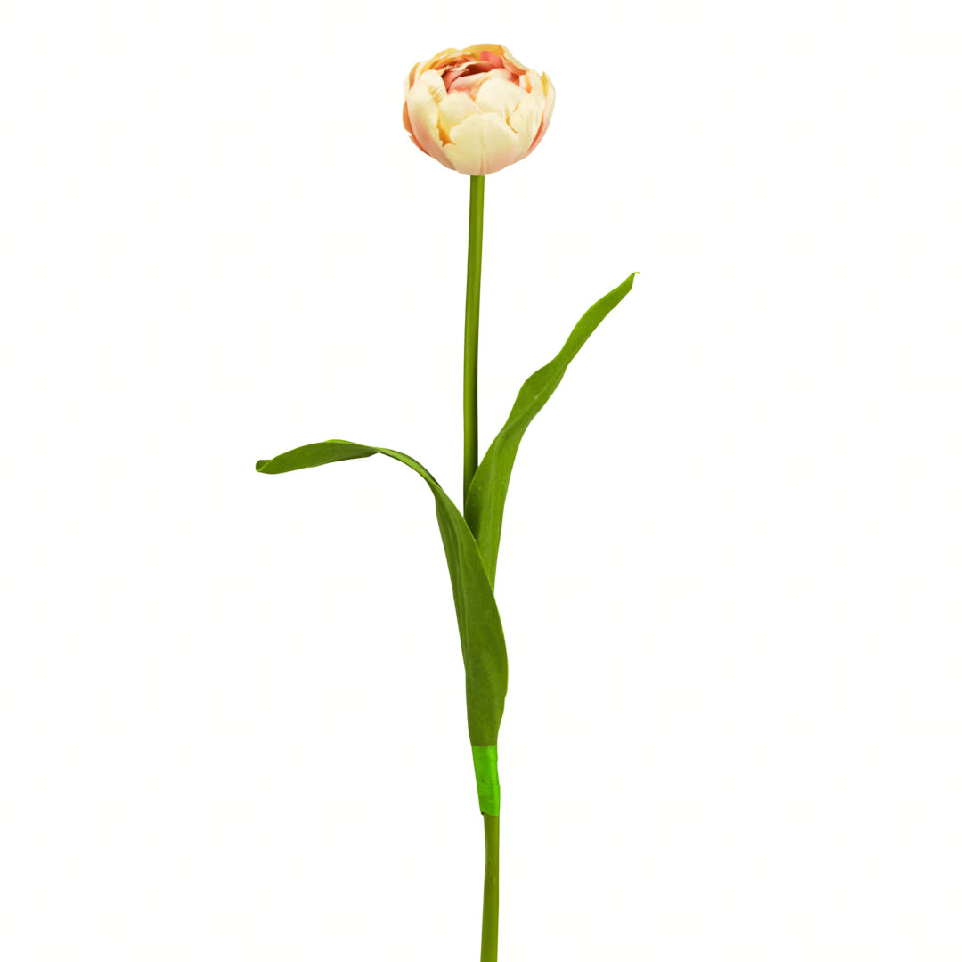 Tulpe, 43 cm - violett