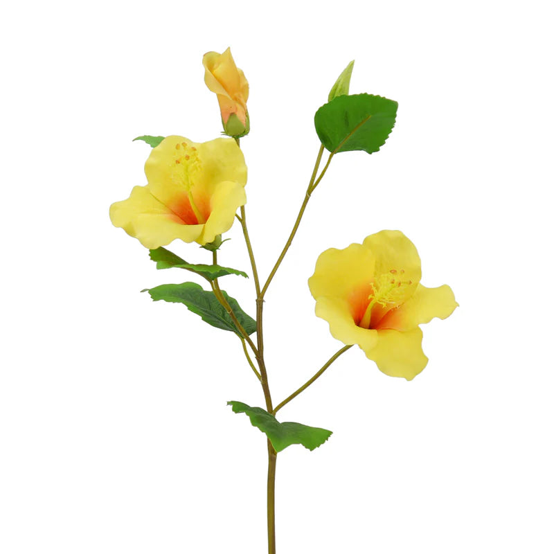 Hibiskus, 68 cm - gelb