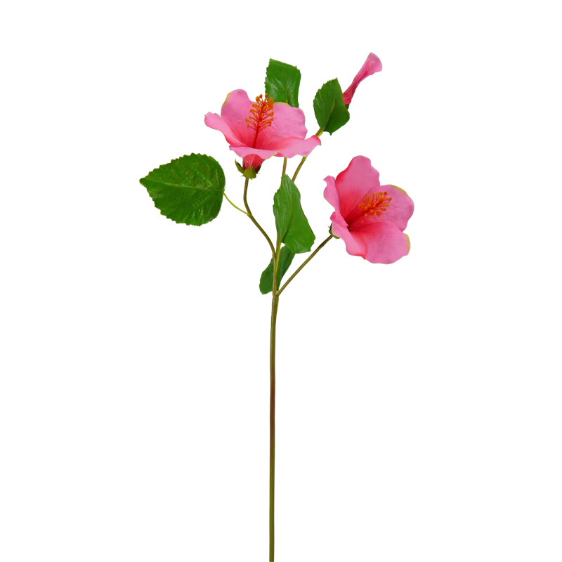 Hibiskus, 68 cm - pink