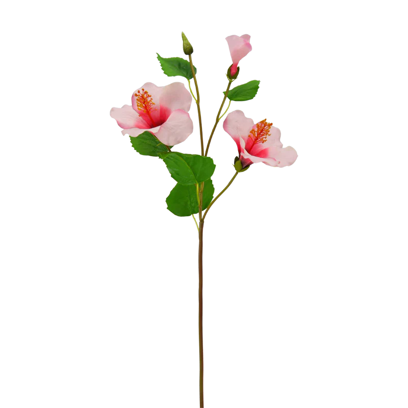 Hibiskus, 68 cm - pink/rot
