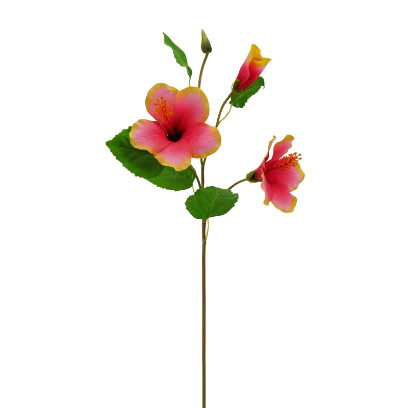Hibiskus, 68 cm - gelb/rot