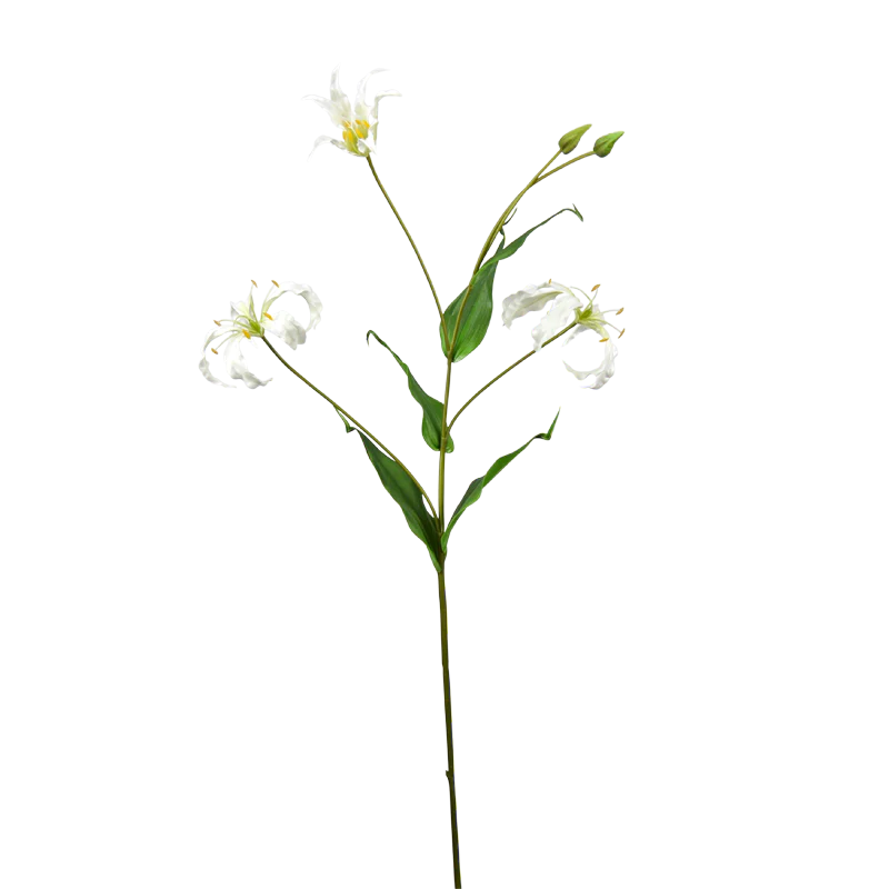 Gloriosa, 85 cm - weiß