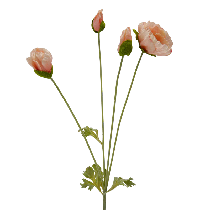 Mohn, 62 cm - lachs/creme x4