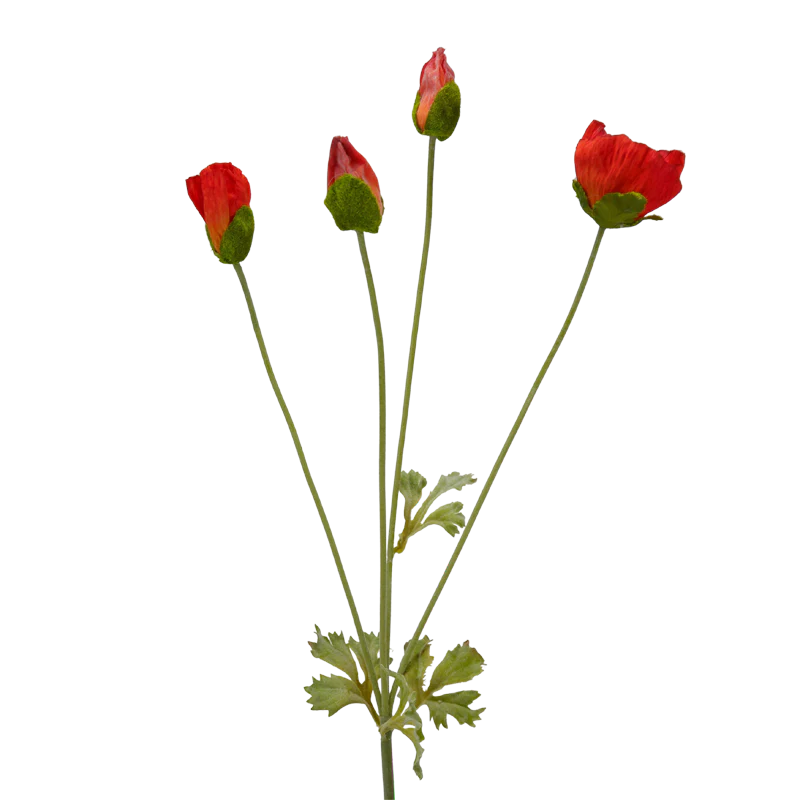 Mohn, 62 cm - orange/rot x4