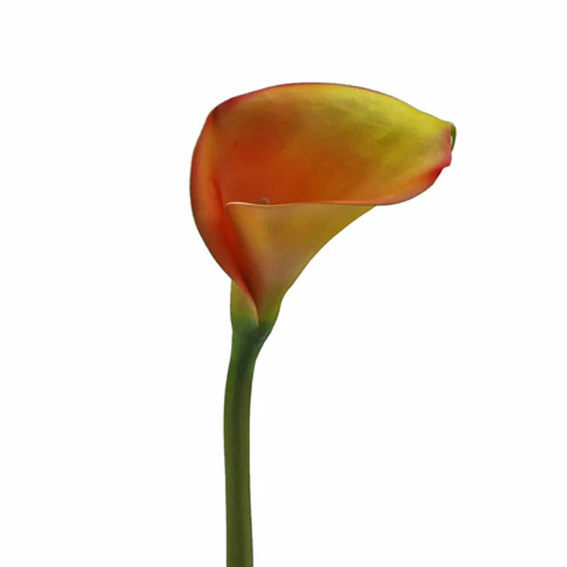 Calla, LILY, 95 cm - orange