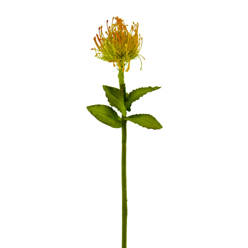 Nadelkissenblume mit Blättern, 62 cm - gelb