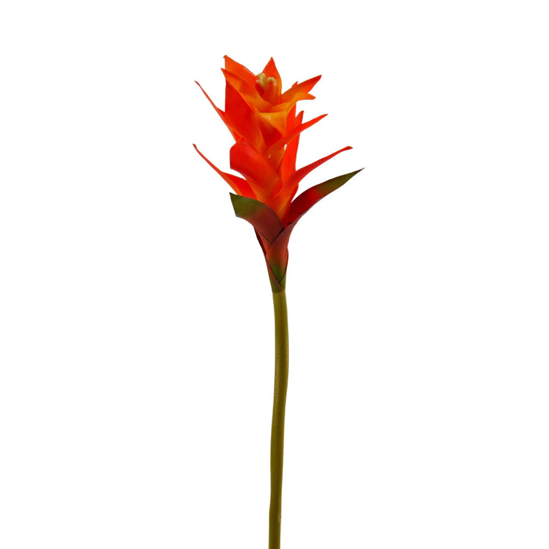 Bromelie, 60 cm - gelb/orange
