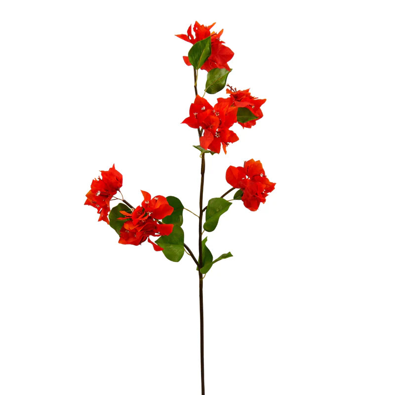 Bougainvillea, 96 cm - orange