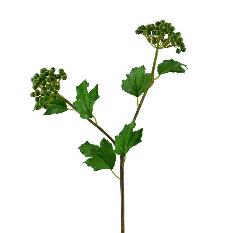 Beere, Viburnum, 65 cm - grün