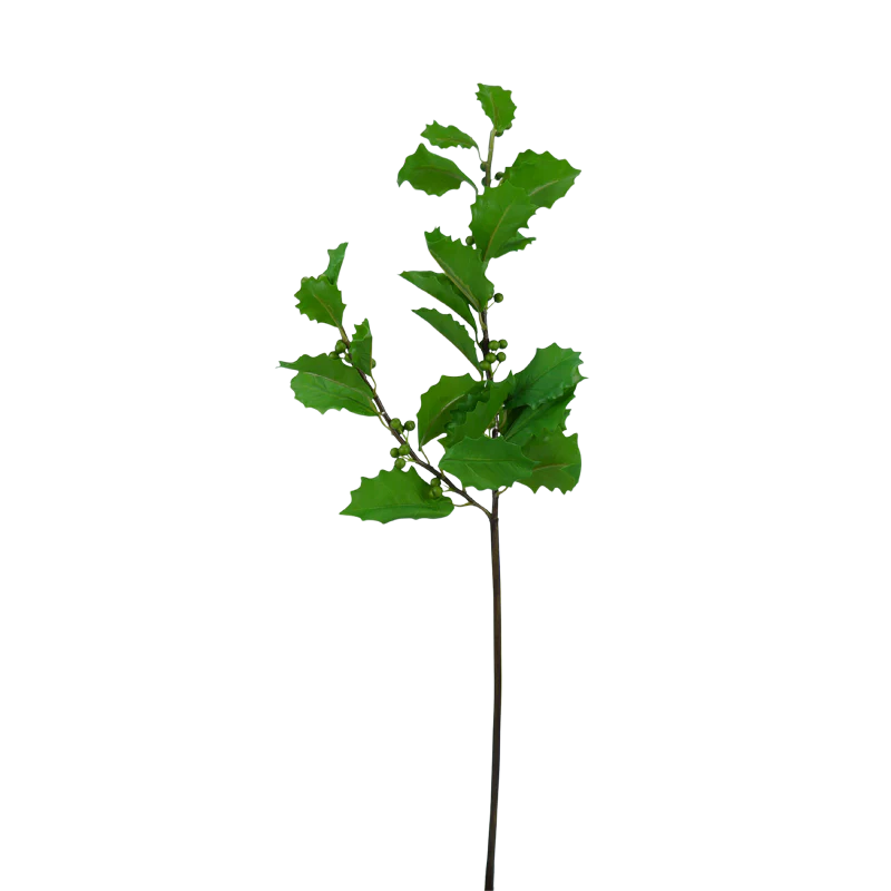Ilex-Ast mit Beeren und Blättern, 65 cm - grün