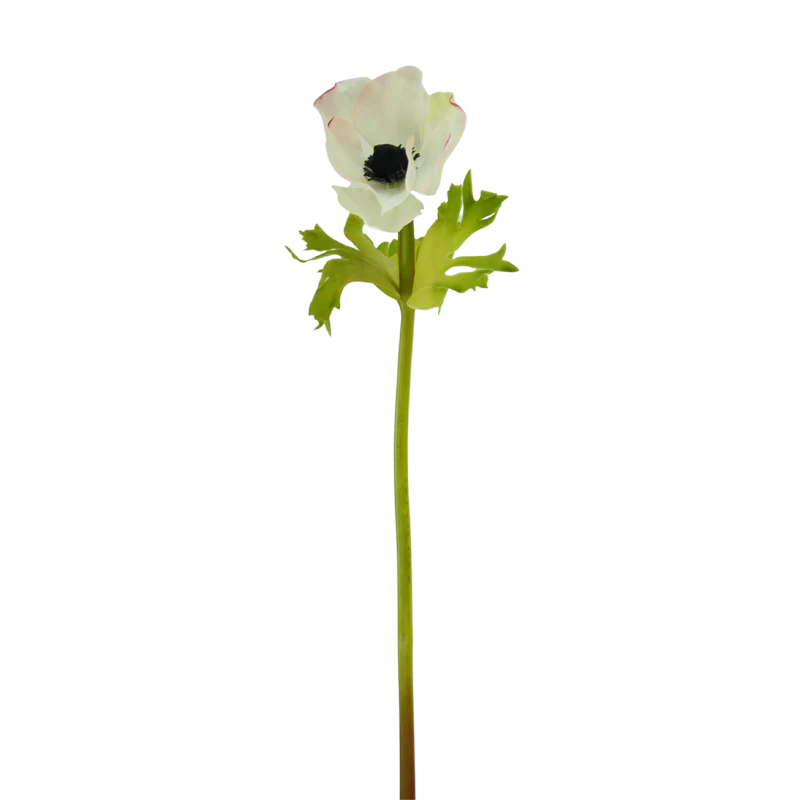 Anemone, 42 cm - creme/rosa