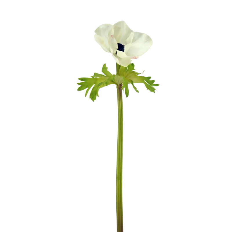 Anemone, 42 cm - pastell/rosa