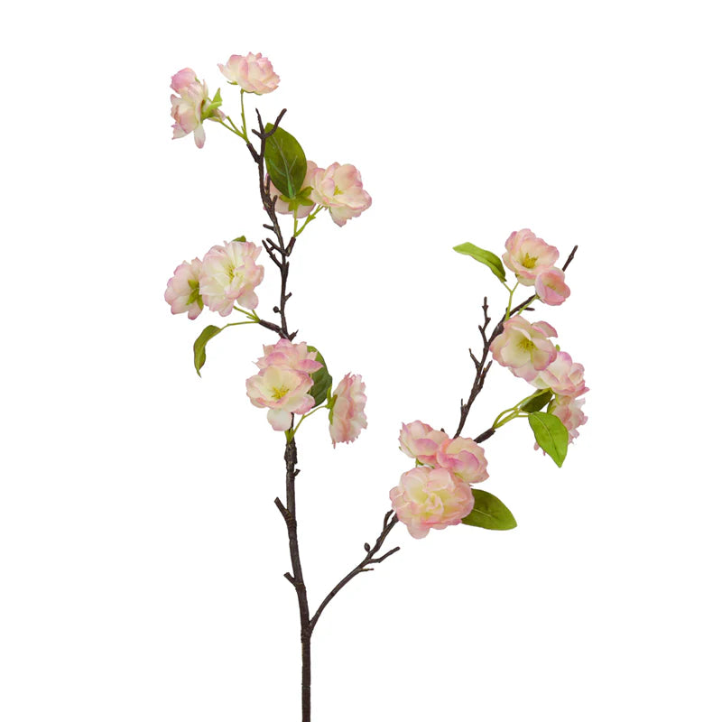 Kirschblüte, 80 cm - creme/rosa