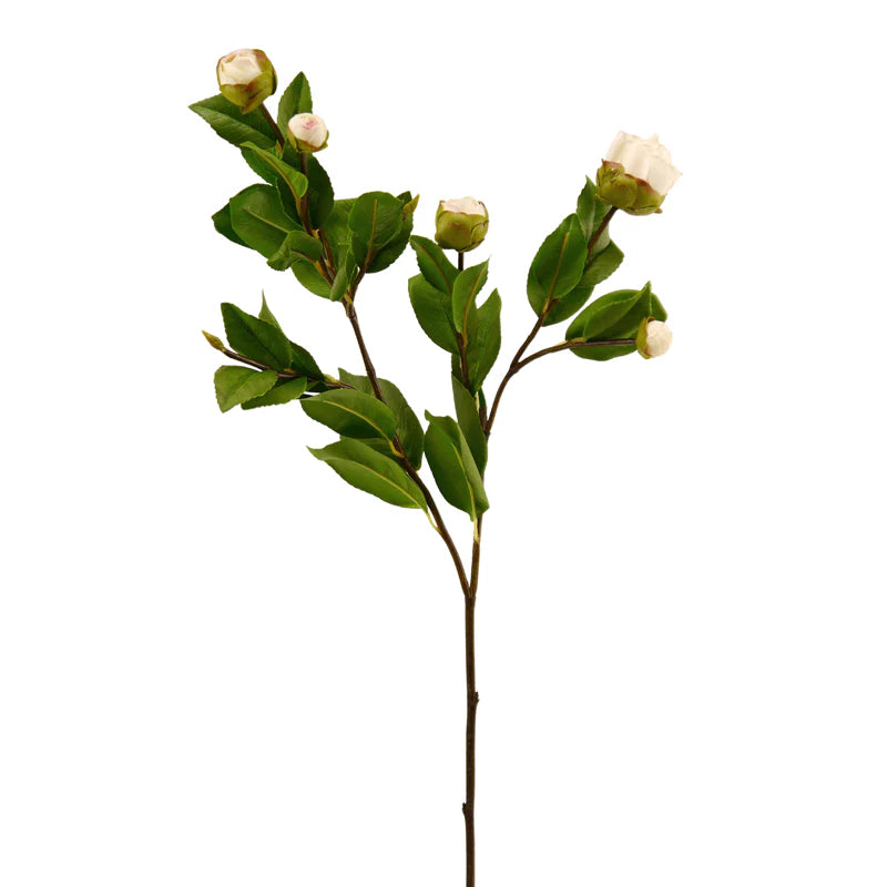 Kamelienast mit Knospen, 71 cm - weiß