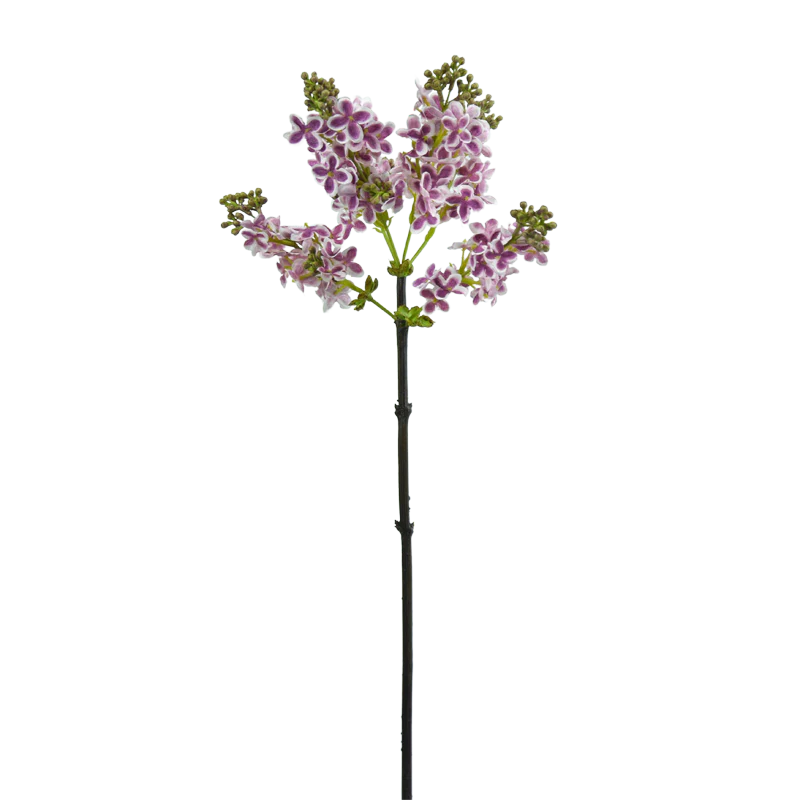 Flieder, 67 cm - blau/weiß