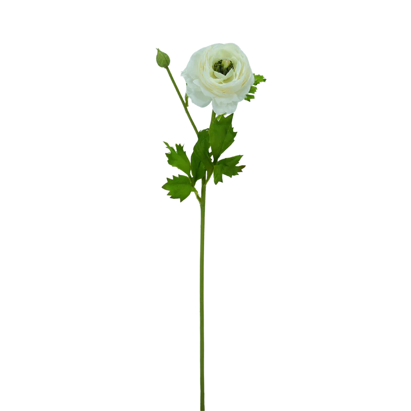 Ranunkel, 48 cm - weiß