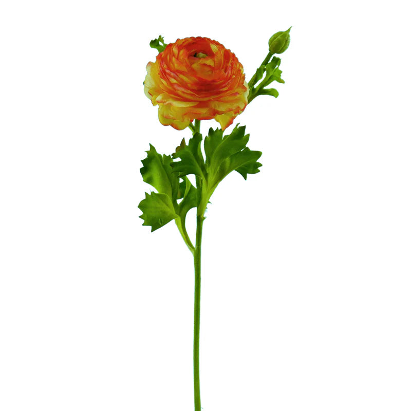 Ranunkel, 48 cm - orange