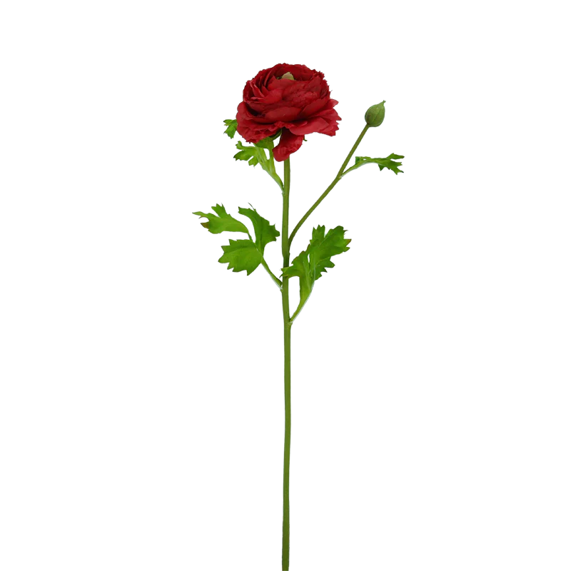 Ranunkel, 48 cm - rot