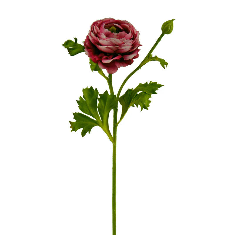 Ranunkel, 48 cm - pink/weiß