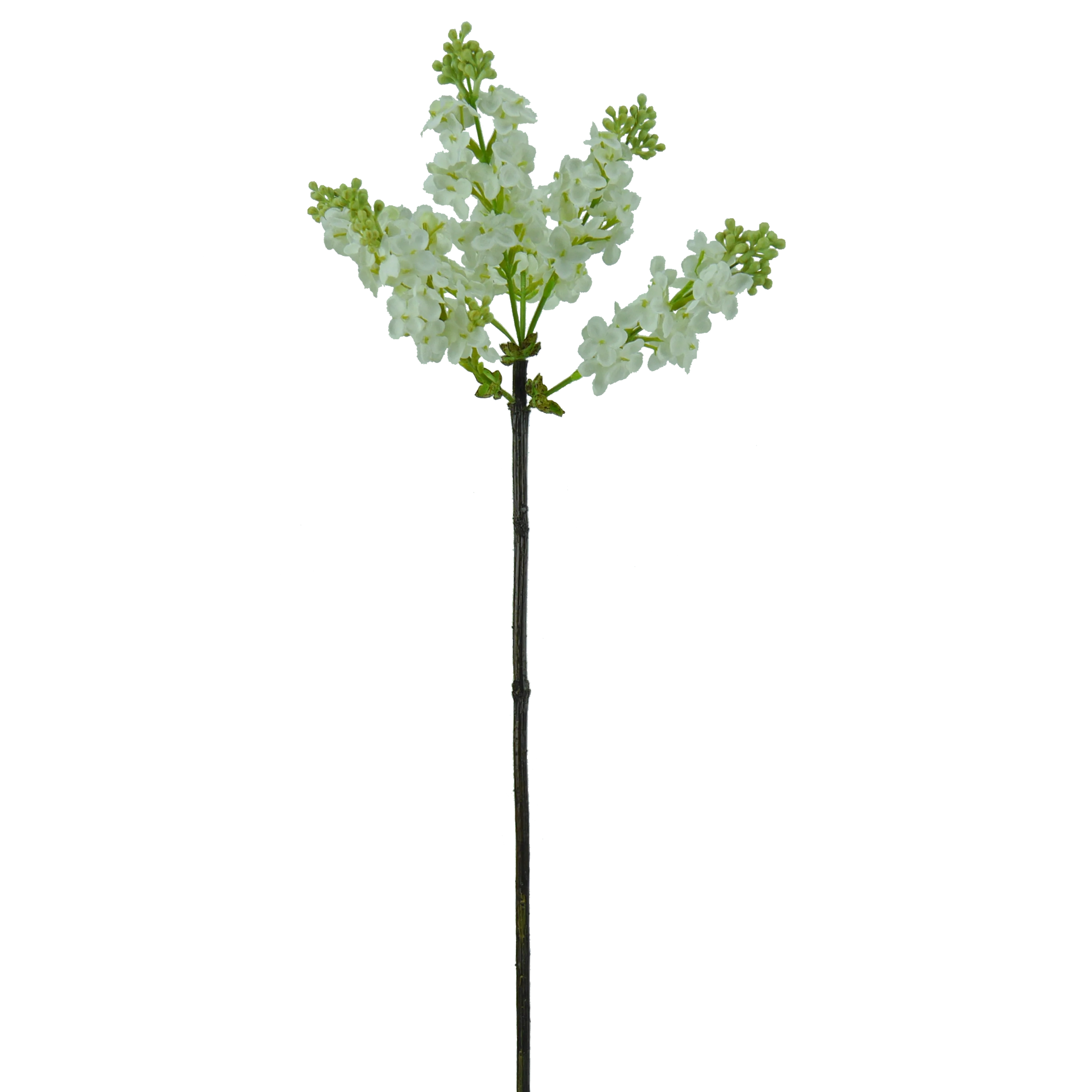 Flieder, 83 cm - weiß