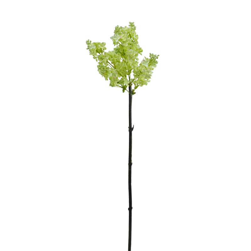 Flieder, 83 cm - hellgrün