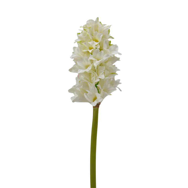 Hyazinthe, 35 cm - weiß