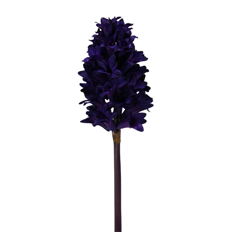 Hyazinthe, 35 cm - lila