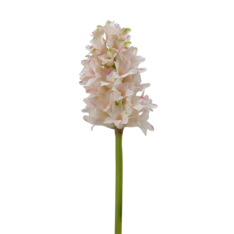 Hyazinthe, 35 cm - creme/rosa