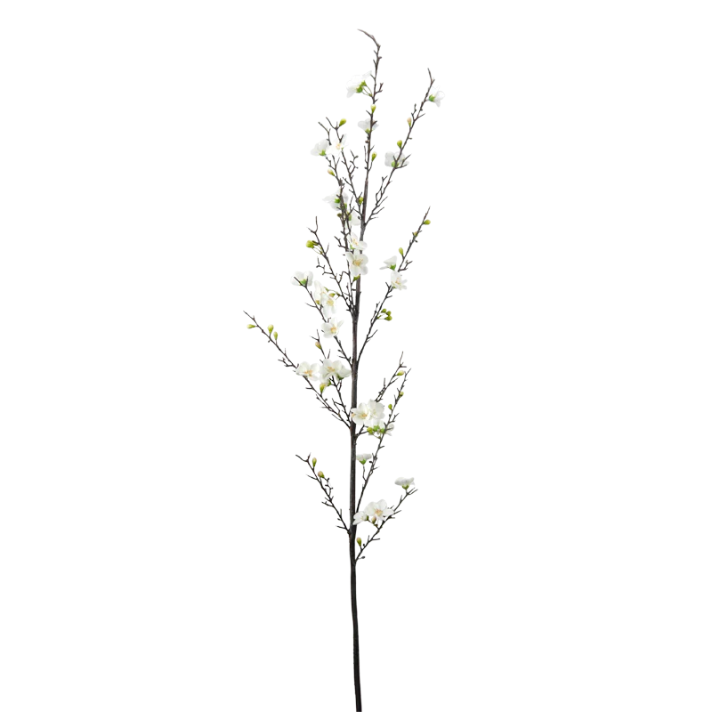 Kirschblüte, 150 cm - weiß