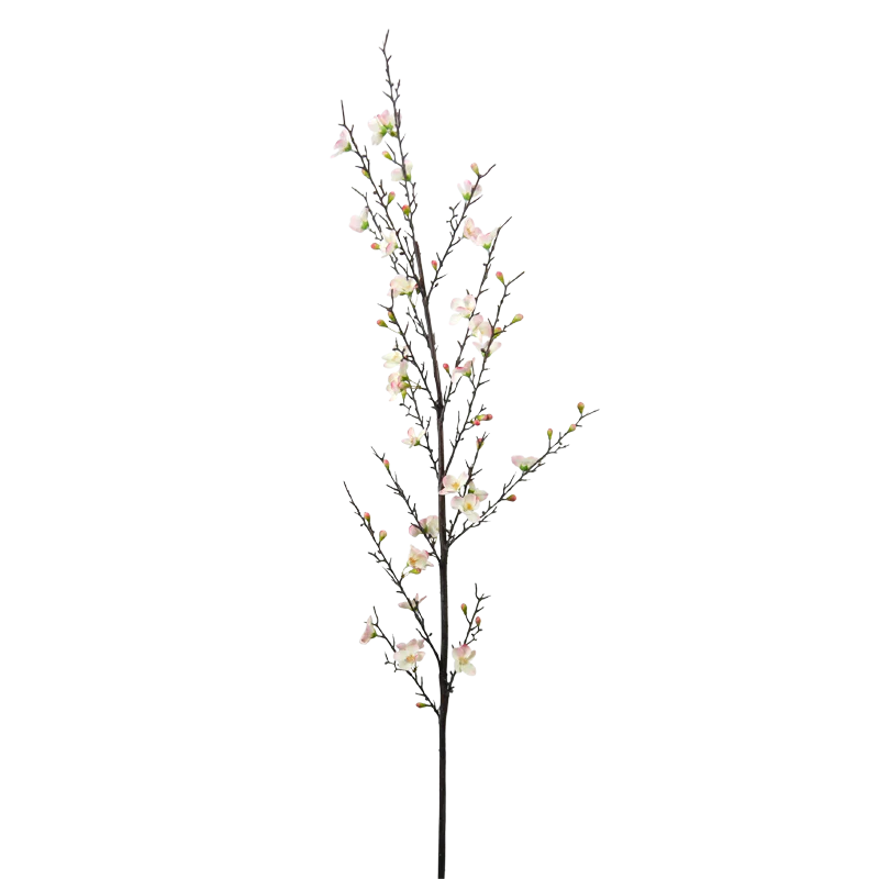 Kirschblüte, 150 cm - creme/rosa