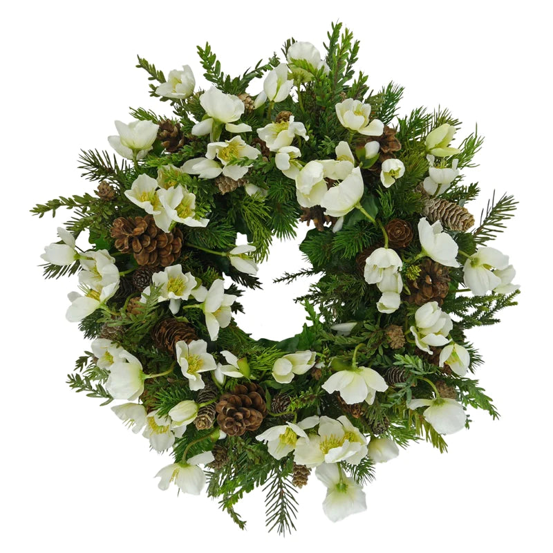 Winter wreath with Christmas roses, fir tree and cones